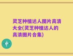 灵芝种植达人图片高清大全(灵芝种植达人的高清图片合集)