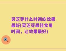 灵芝芽什么时间吃效果最好(灵芝芽最佳食用时间，让效果最好)