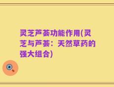 灵芝芦荟功能作用(灵芝与芦荟：天然草药的强大组合)