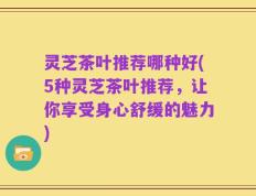 灵芝茶叶推荐哪种好(5种灵芝茶叶推荐，让你享受身心舒缓的魅力)