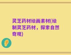 灵芝药材绘画素材(绘制灵芝药材，探索自然奇观)