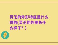 灵芝的外形特征是什么样的(灵芝的外观长什么样子？)