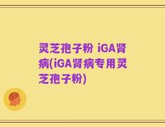 灵芝孢子粉 iGA肾病(iGA肾病专用灵芝孢子粉)