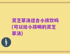 灵芝草汤适合小孩饮吗(可以给小孩喝的灵芝草汤)