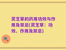 灵芝草的药用功效与作用及禁忌(灵芝草：功效、作用及禁忌)