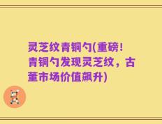 灵芝纹青铜勺(重磅！青铜勺发现灵芝纹，古董市场价值飙升)