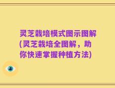 灵芝栽培模式图示图解(灵芝栽培全图解，助你快速掌握种植方法)