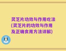 灵芝片功效与作用吃法(灵芝片的功效与作用及正确食用方法详解)