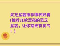灵芝盆栽推荐哪种好看(推荐几款漂亮的灵芝盆栽，让你家更有氧气！)