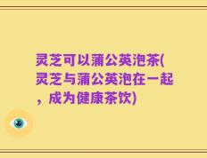 灵芝可以蒲公英泡茶(灵芝与蒲公英泡在一起，成为健康茶饮)