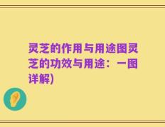 灵芝的作用与用途图灵芝的功效与用途：一图详解)