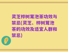 灵芝桦树茸泡茶功效与禁忌(灵芝、桦树茸泡茶的功效及适宜人群和禁忌)