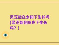 灵芝能在太阳下生长吗(灵芝能在阳光下生长吗？)