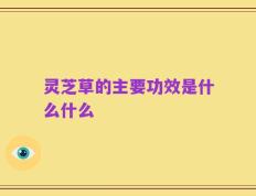 灵芝草的主要功效是什么什么