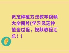 灵芝种植方法教学视频大全图片(学习灵芝种植全过程，视频教程汇总！)