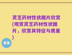 灵芝药材性状图片欣赏(观赏灵芝药材性状图片，欣赏其特征与质量)