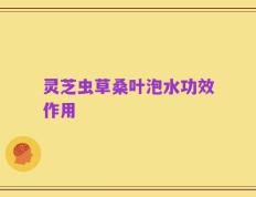 灵芝虫草桑叶泡水功效作用