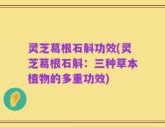 灵芝葛根石斛功效(灵芝葛根石斛：三种草本植物的多重功效)