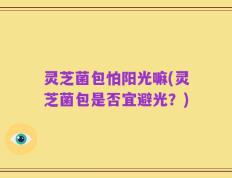 灵芝菌包怕阳光嘛(灵芝菌包是否宜避光？)