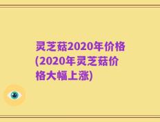 灵芝菇2020年价格(2020年灵芝菇价格大幅上涨)