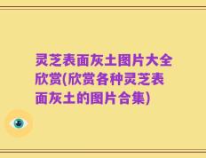 灵芝表面灰土图片大全欣赏(欣赏各种灵芝表面灰土的图片合集)