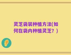 灵芝袋装种植方法(如何在袋内种植灵芝？)