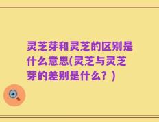 灵芝芽和灵芝的区别是什么意思(灵芝与灵芝芽的差别是什么？)
