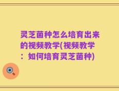 灵芝菌种怎么培育出来的视频教学(视频教学：如何培育灵芝菌种)