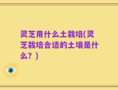 灵芝用什么土栽培(灵芝栽培合适的土壤是什么？)
