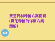 灵芝药材种植方案图解(灵芝种植的详细方案图解)