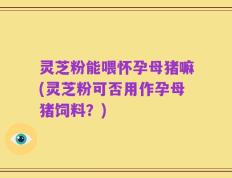 灵芝粉能喂怀孕母猪嘛(灵芝粉可否用作孕母猪饲料？)