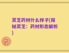 灵芝药材什么样子(探秘灵芝：药材形态解析)