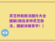 灵芝种类做法图片大全图解(精选多种灵芝做法，图解详细易学！)