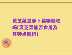 灵芝菜是萝卜菜嘛能吃吗(灵芝菜能否食用及其特点解析)