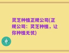 灵芝种植正规公司(正规公司：灵芝种植，让你种植无忧)