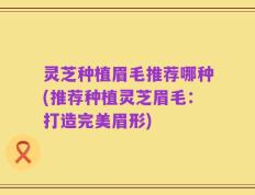 灵芝种植眉毛推荐哪种(推荐种植灵芝眉毛：打造完美眉形)