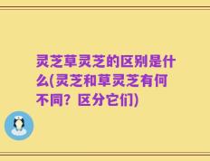 灵芝草灵芝的区别是什么(灵芝和草灵芝有何不同？区分它们)
