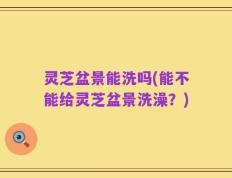 灵芝盆景能洗吗(能不能给灵芝盆景洗澡？)
