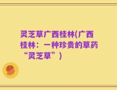 灵芝草广西桂林(广西桂林：一种珍贵的草药“灵芝草”)