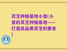 灵芝种植基地小曾(小曾的灵芝种植基地——打造高品质灵芝的要素)