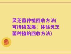 灵芝菌种植回收方法(可持续发展：体验灵芝菌种植的回收方法)