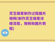 灵芝细茸制作过程图片视频(制作灵芝细茸详细流程，视频和图片教程)