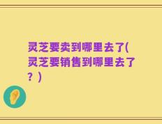灵芝要卖到哪里去了(灵芝要销售到哪里去了？)