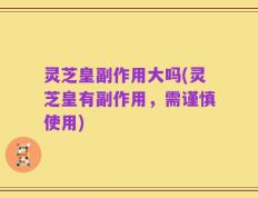 灵芝皇副作用大吗(灵芝皇有副作用，需谨慎使用)