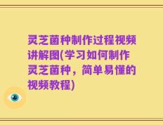 灵芝菌种制作过程视频讲解图(学习如何制作灵芝菌种，简单易懂的视频教程)