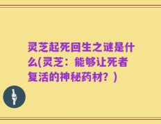 灵芝起死回生之谜是什么(灵芝：能够让死者复活的神秘药材？)