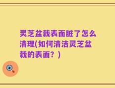 灵芝盆栽表面脏了怎么清理(如何清洁灵芝盆栽的表面？)