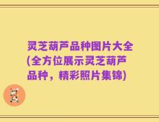 灵芝葫芦品种图片大全(全方位展示灵芝葫芦品种，精彩照片集锦)