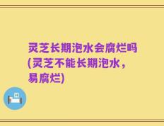 灵芝长期泡水会腐烂吗(灵芝不能长期泡水，易腐烂)
