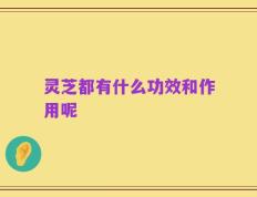 灵芝都有什么功效和作用呢